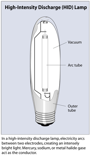 ساختار انواع لامپ گازی