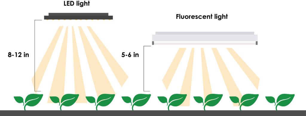 راهنمای خرید لامپ رشد گیاه : به چه نوع لامپ رشد گیاهی نیاز داریم؟