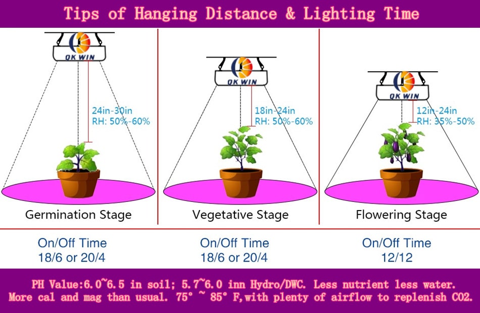 فاصله لامپ رشد تا گیاه و ارتفاع لامپ