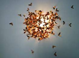 علت جذب حشرات به نور لامپ چیست