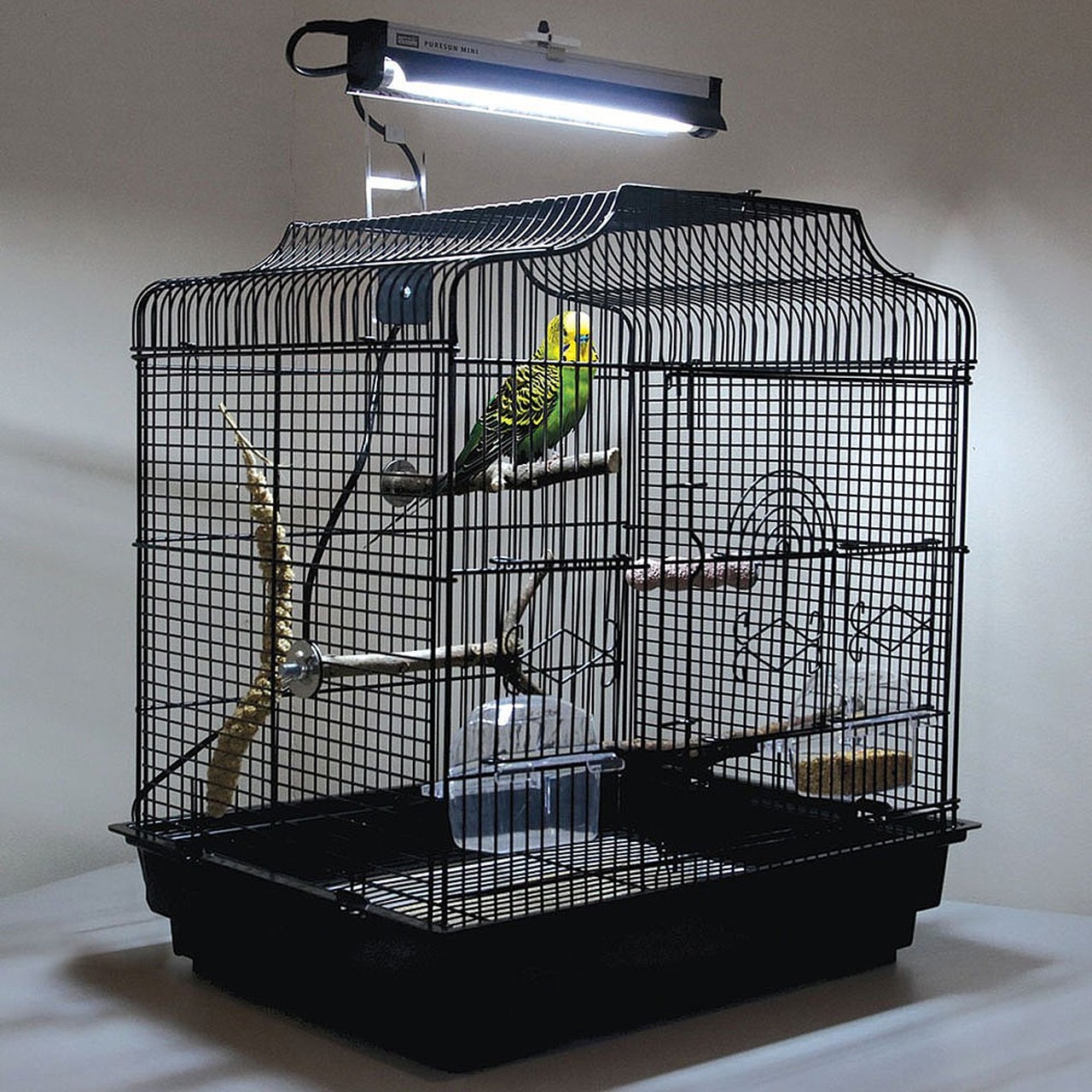 نحوه نصب لامپ یو وی برای پرندگان