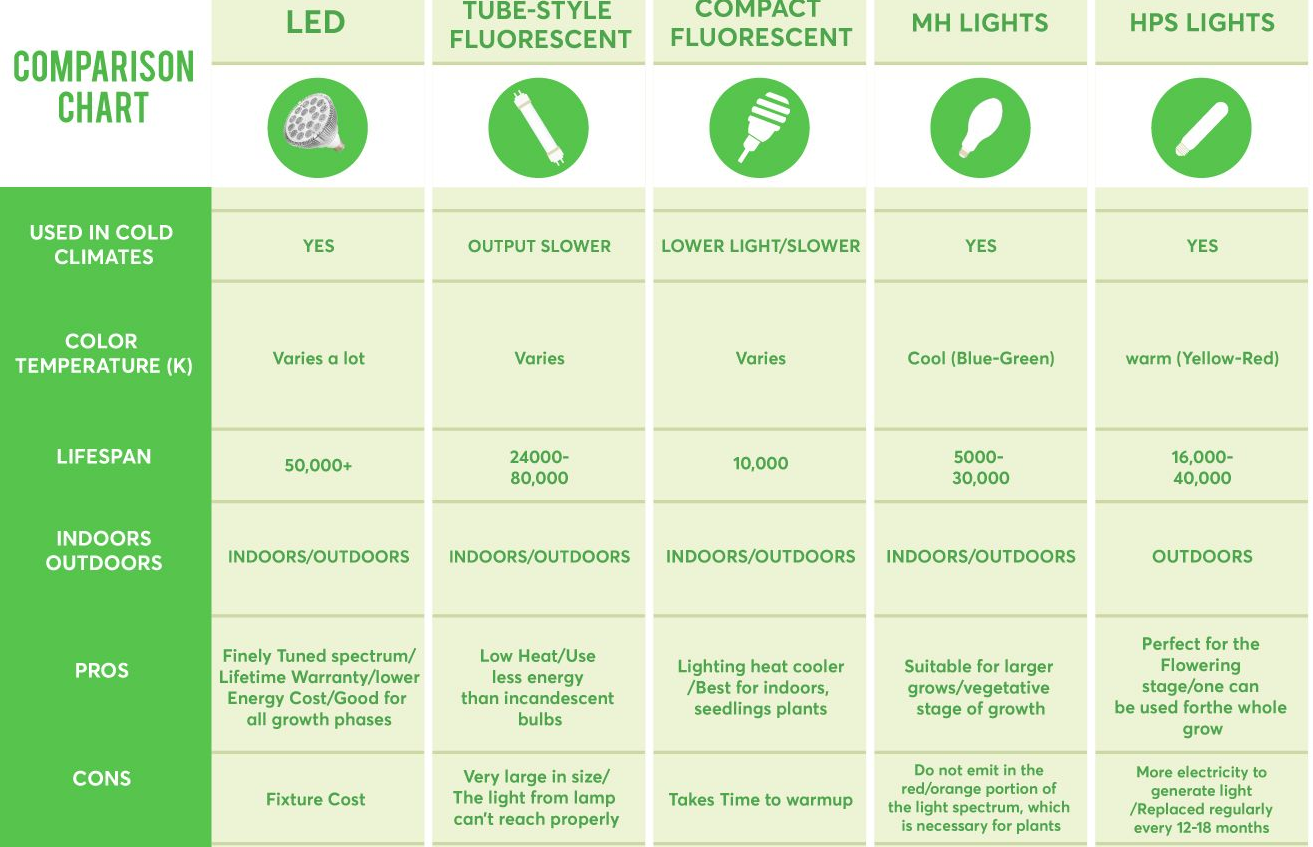 مقایسه روشنایی رشد گیاه و نکاتی برای خرید لامپ رشد گیاه