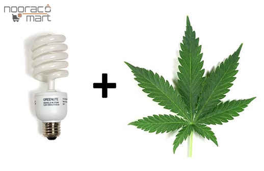 استفاده از لامپ کم مصرف برای رشد گیاه