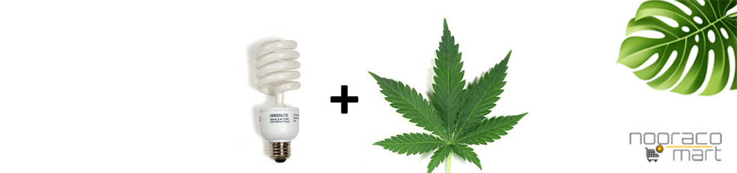 نکاتی در خصوص کاربرد لامپ  های ال ای دی در رشد گیاه
