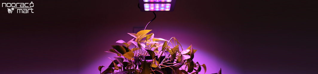 مزایای استفاده از لامپ رشد گیاه